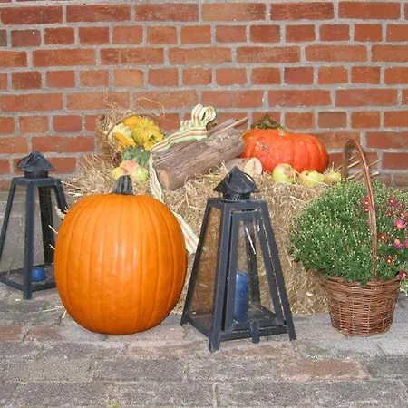 Ferienhof-wohler-wohnung-2