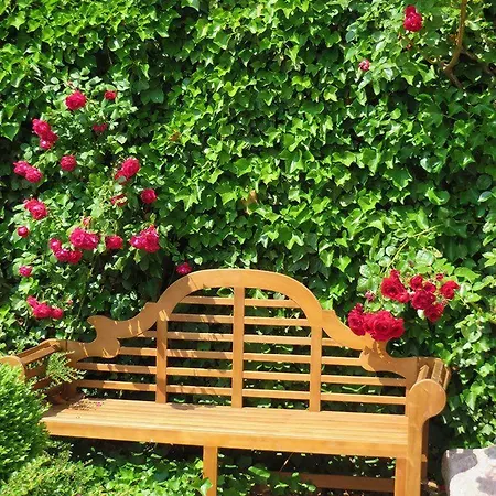 Ferienhof-wohler-wohnung-2 * Bojendorf